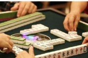 娱乐吃瓜酱麻将,揭秘麻将界的趣味与智慧